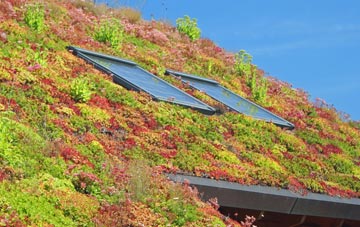 Deans living roof systems